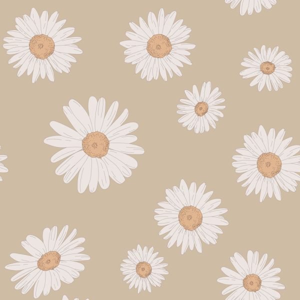 'Tuscan Daisies'-Beige Tapete